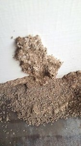 殺白蟻方法：如何使用白蟻藥劑，殺白蟻餌站可滅巢、無須打孔。